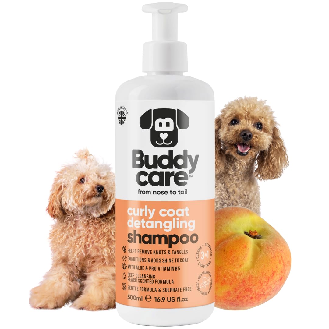 Curly Coat Entwirrendes Hundeshampoo von Buddycare | Tiefenreinigendes Shampoo für Hunde | Pfirsichduft | Mit Aloe Vera und Provitamin B5 (500ml)