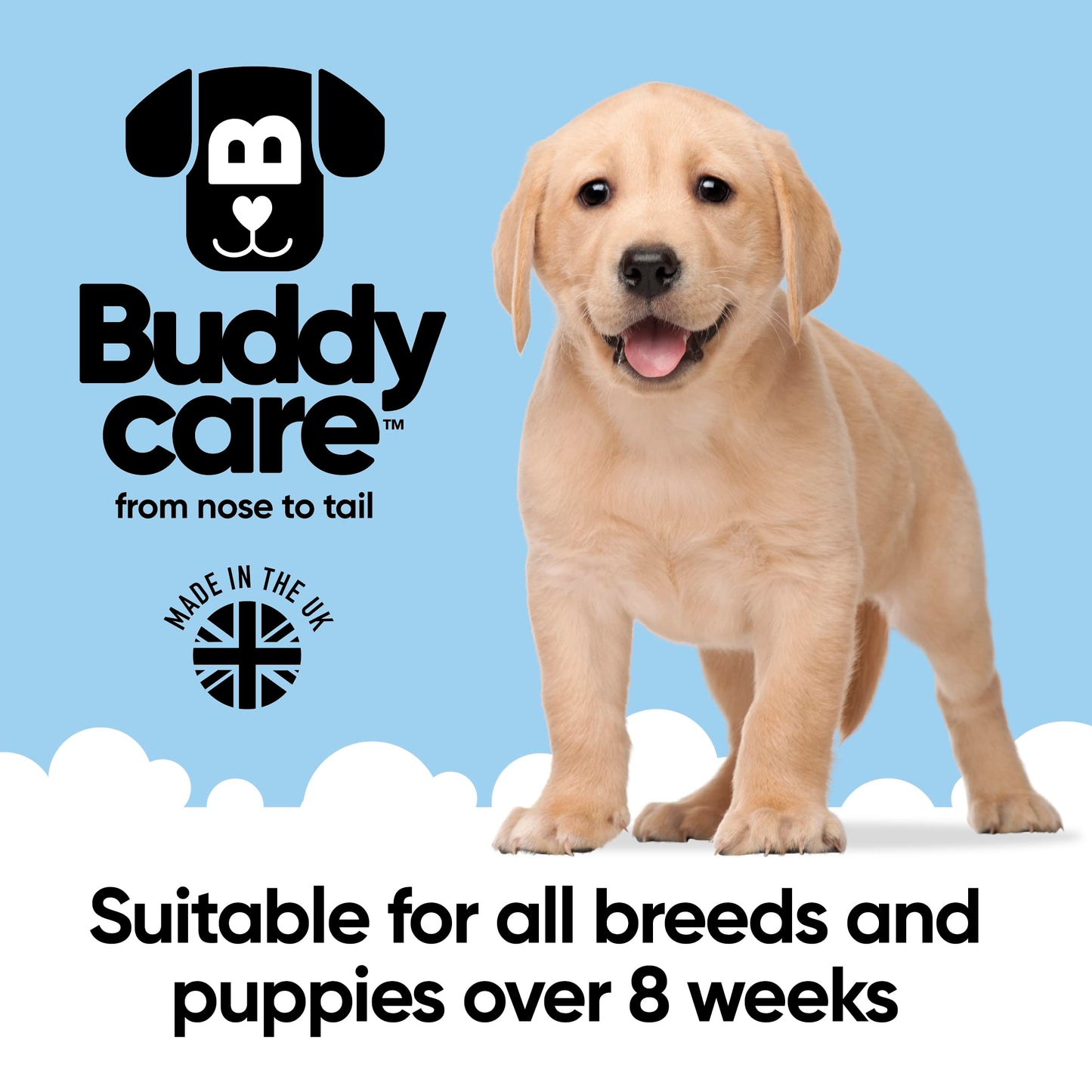 Buddycare 2in1 Hundeshampoo & Conditioner 500ml – Für Langhaar, Welpen & alle Hunderassen