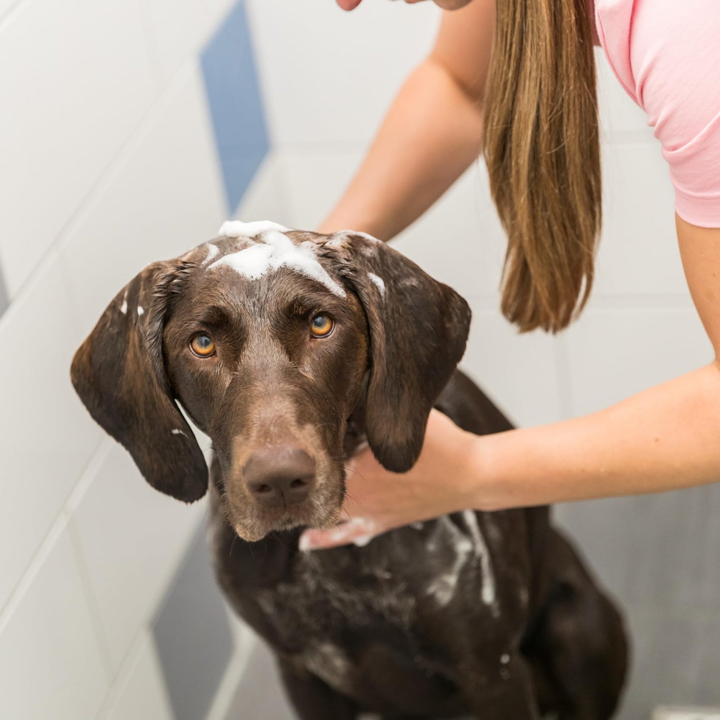 TRIXIE Neutral-Shampoo für Hunde, Inhalt: 1 l
