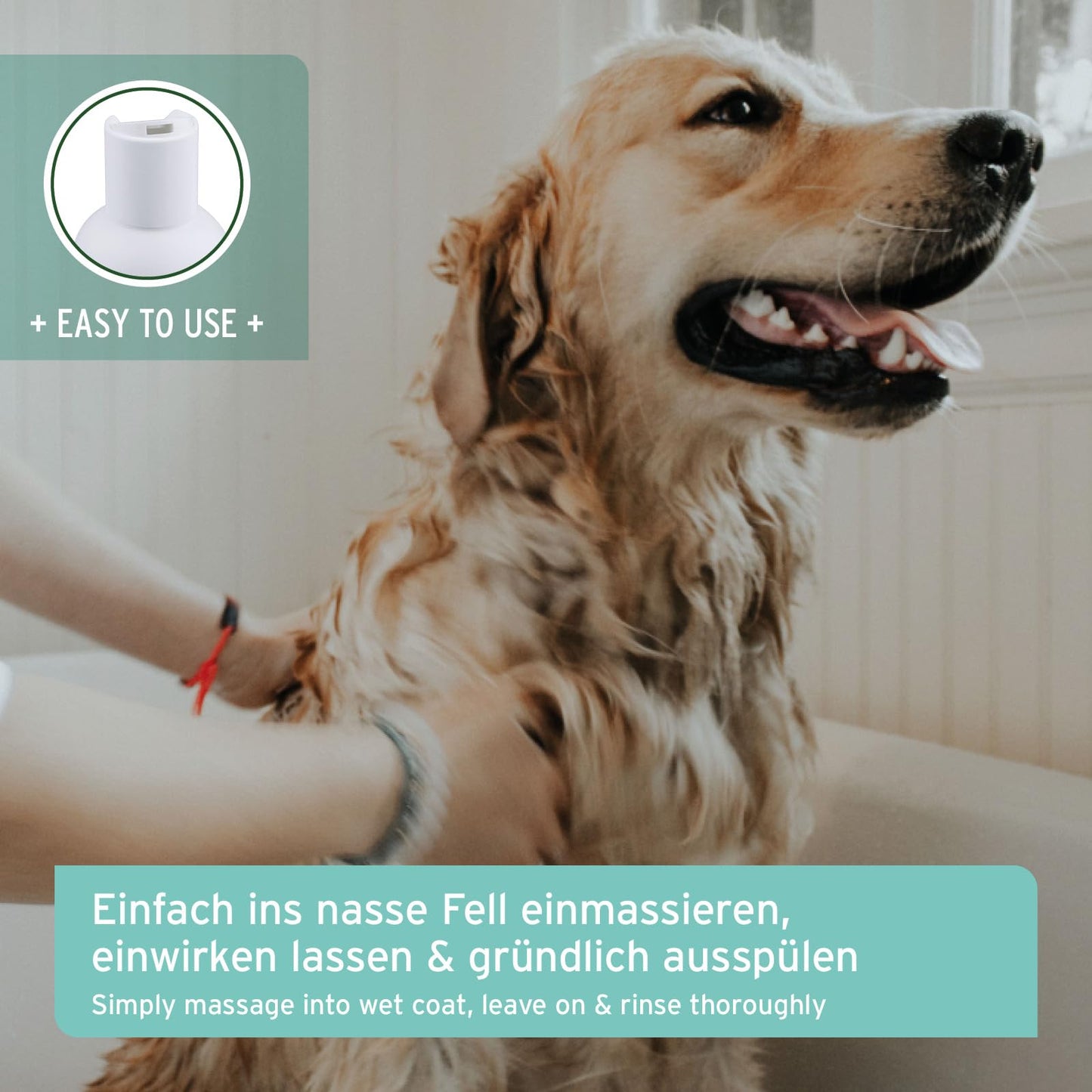 AniForte Neemöl Hundeshampoo 500ml – Gegen Juckreiz, Milben, Flöhe & Zecken, für glänzendes Fell