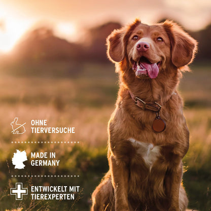 AniForte Neemöl Hundeshampoo 500ml – Gegen Juckreiz, Milben, Flöhe & Zecken, für glänzendes Fell