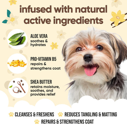 Buddycare Hundeshampoo Vanille & Sheabutter 500ml – Feuchtigkeitspflege mit Aloe Vera & Pro-Vitamin B5