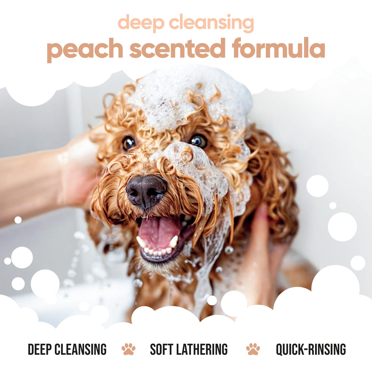 Curly Coat Entwirrendes Hundeshampoo von Buddycare | Tiefenreinigendes Shampoo für Hunde | Pfirsichduft | Mit Aloe Vera und Provitamin B5 (500ml)
