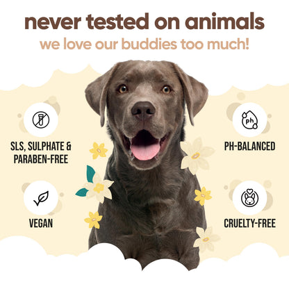 Buddycare Hundeshampoo Vanille & Sheabutter 500ml – Feuchtigkeitspflege mit Aloe Vera & Pro-Vitamin B5