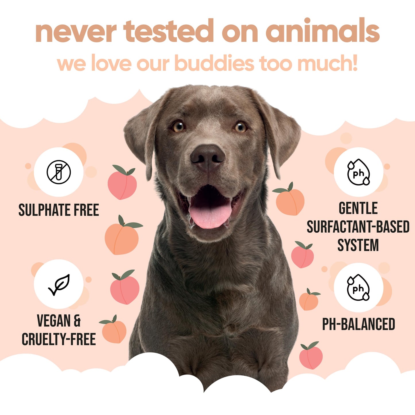 Curly Coat Entwirrendes Hundeshampoo von Buddycare | Tiefenreinigendes Shampoo für Hunde | Pfirsichduft | Mit Aloe Vera und Provitamin B5 (500ml)