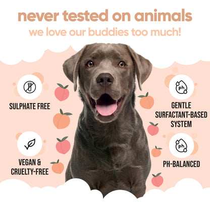 Curly Coat Entwirrendes Hundeshampoo von Buddycare | Tiefenreinigendes Shampoo für Hunde | Pfirsichduft | Mit Aloe Vera und Provitamin B5 (500ml)
